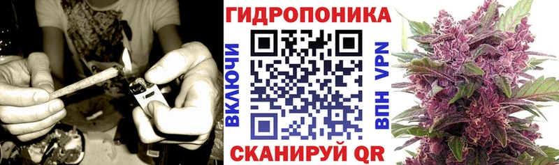Канабис Amnesia  купить наркотик  Белово 